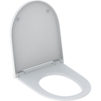 Сидіння з кришкою  243.989.21.2 для унітазу ONE, soft close, колір накладки, глянцевий хром, Geberit